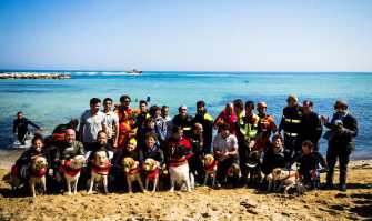 Bal�, Aisha, Ares: i cani da salvataggio, ''angeli del mare'' di Bari